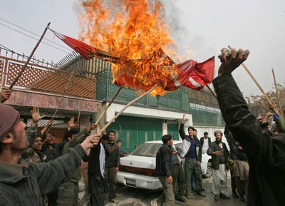 the Danish flag being burned by angry muslims....