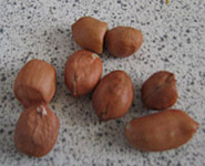 The peanuts before they are cooked